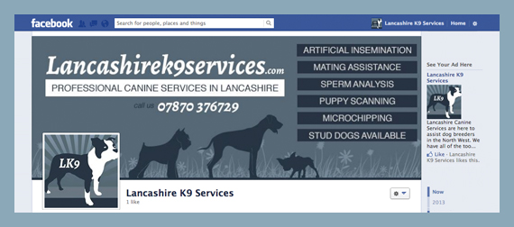 We have stud dogs for hire in North West Lancashire