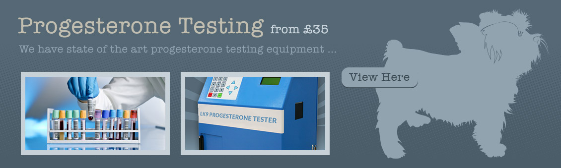 Progesterone Testing in Lancashire